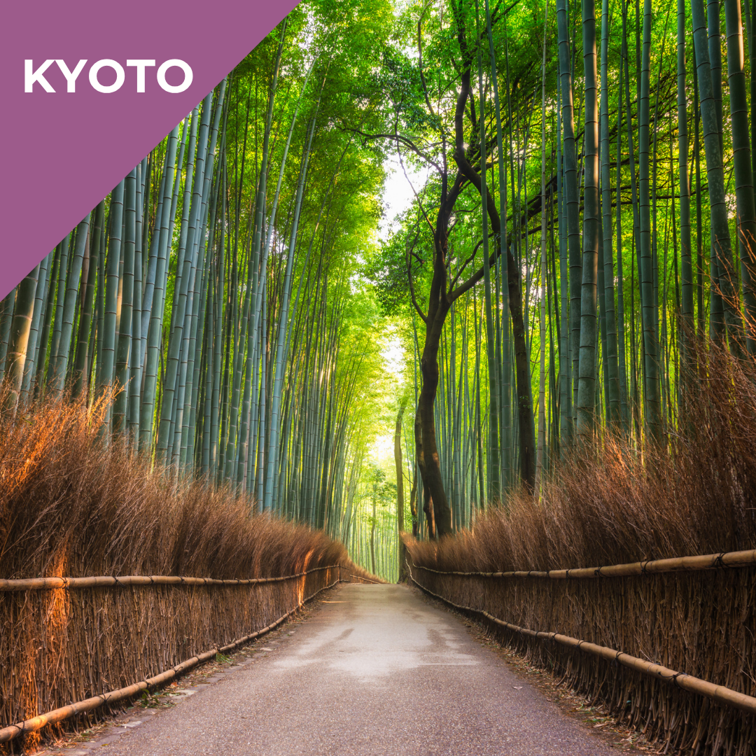 Tours in Kyoto - The Secrets of Arashiyama