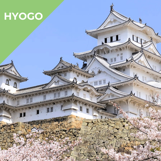 Tours in Hyogo -  Kobe & Himeji: Timeless Castle and Modern City Life