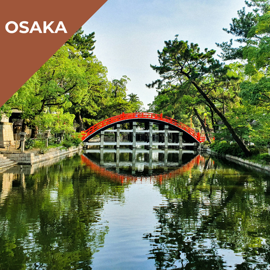 Tours in Osaka -  Osaka Beyond the Crowds: Discover the Unseen