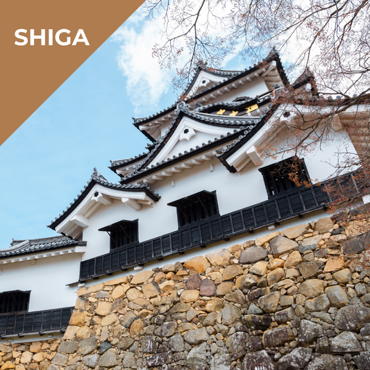 Tours in Shiga -  Shiga Castles, Canals and Confections