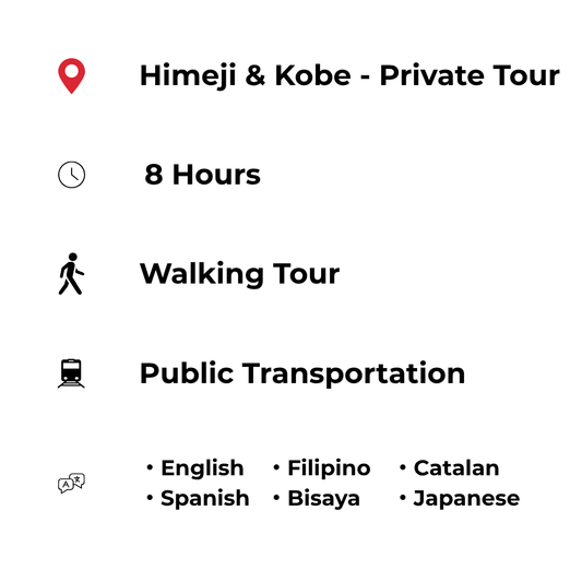 Tours in Hyogo - Kobe & Himeji: Timeless Castle and Modern City Life