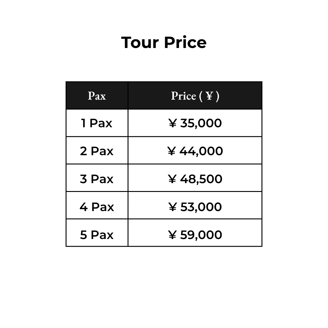 Tours in Hyogo - Kobe & Himeji: Timeless Castle and Modern City Life