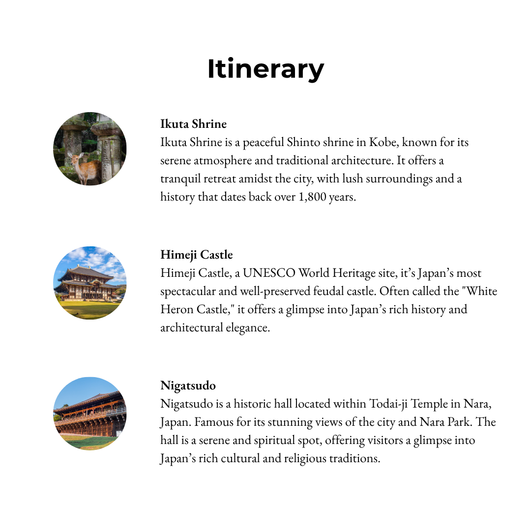 Tours in Nara - Nara: Shrines, Deer, and Traditions