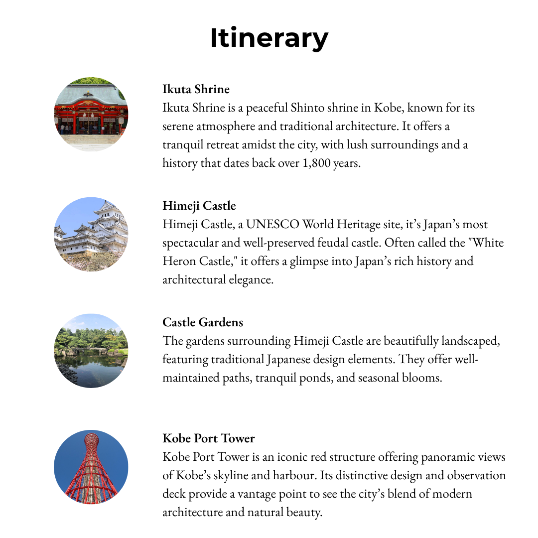 Tours in Hyogo - Kobe & Himeji: Timeless Castle and Modern City Life
