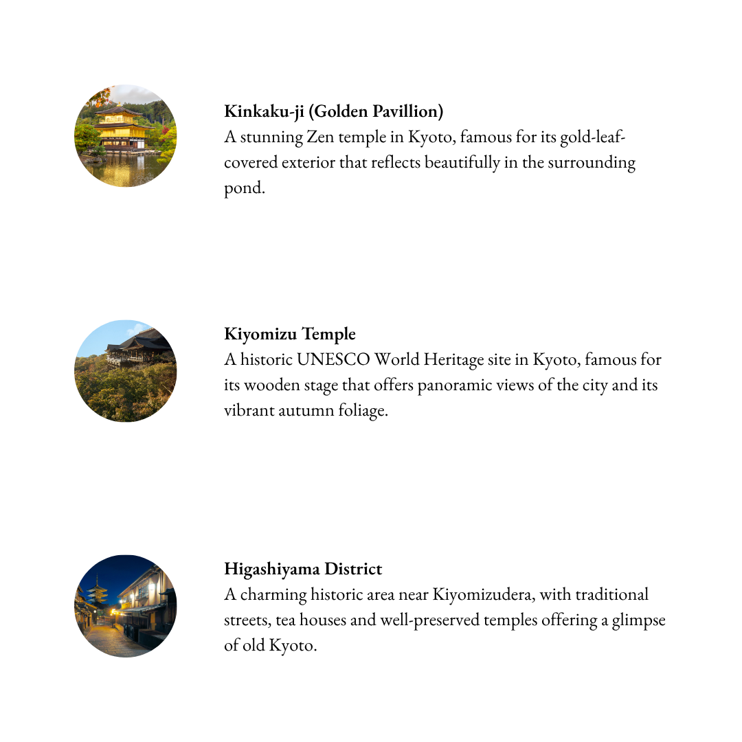 Tours in Kyoto - Kyoto's Greatest Hits The Essential Highlights
