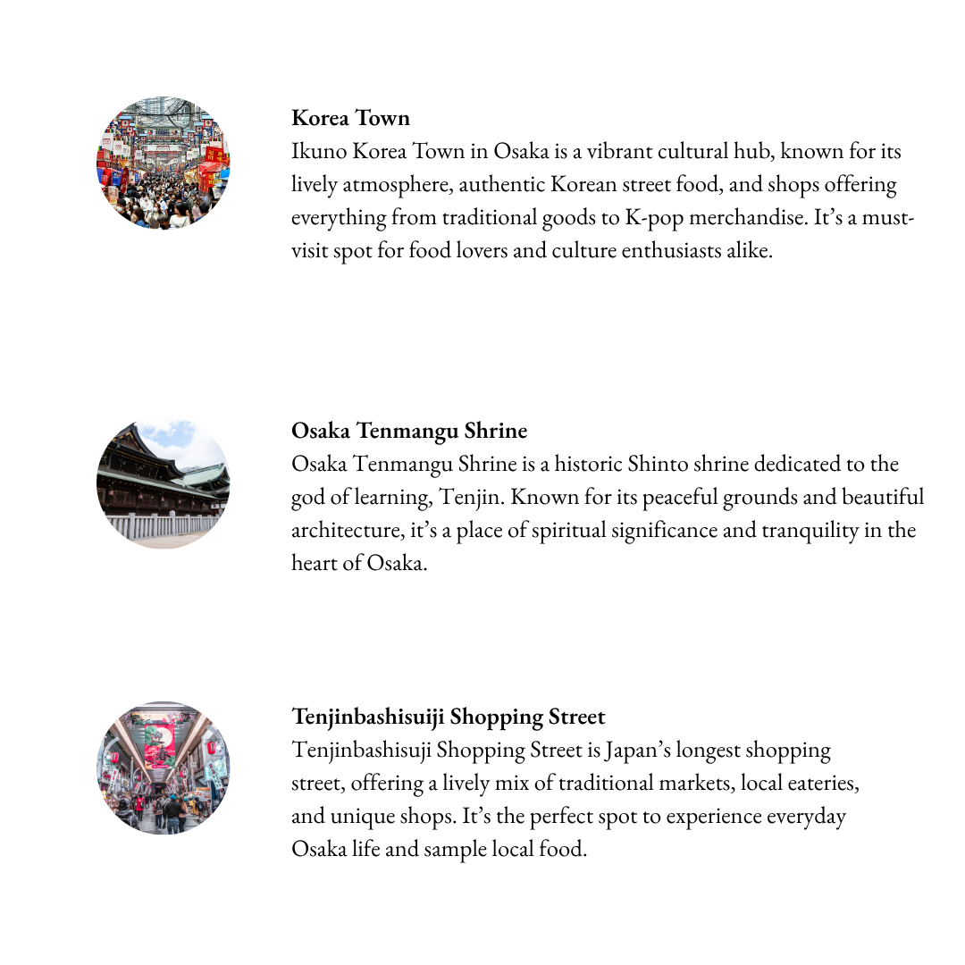 Tours in Osaka - Osaka Beyond the Crowds: Discover the Unseen