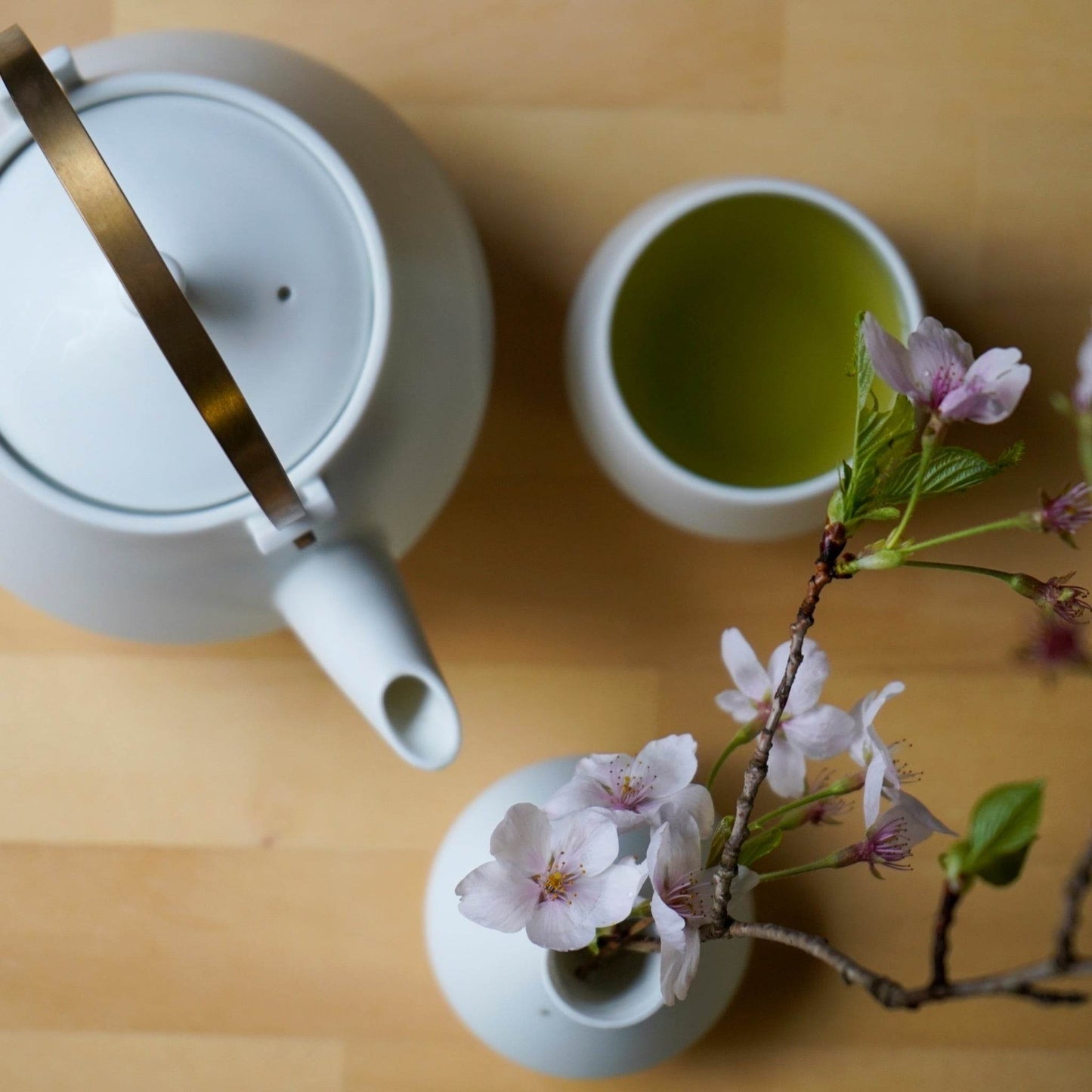 Yamatsu - Frustum Sencha - Wecreate Japan