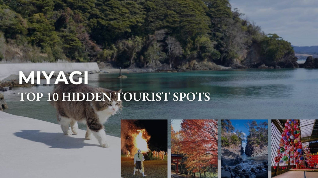 Top 10 Hidden tourist spots in Miyagi Prefecture [Secret Gem Edition] - Wecreate Japan