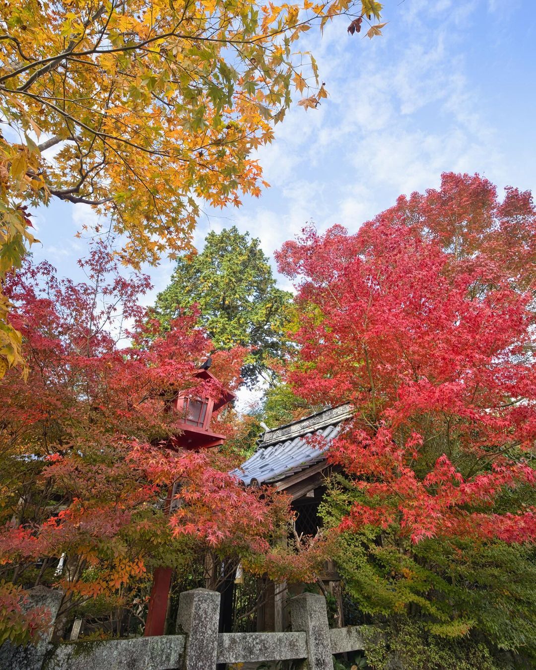 Kuwayama Shrine