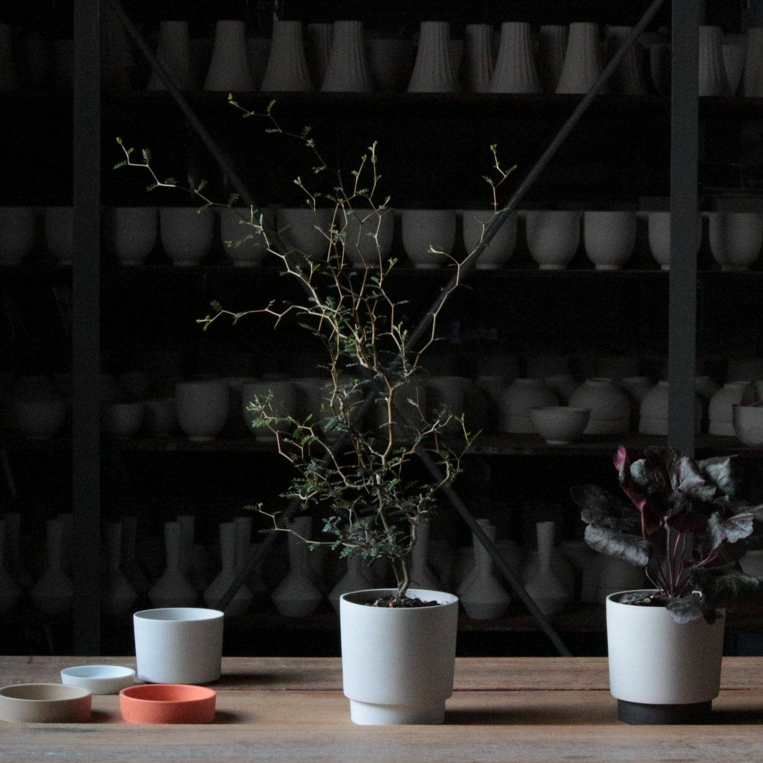 Yamatsu - Ground crunch pot & dish M - Wecreate Japan