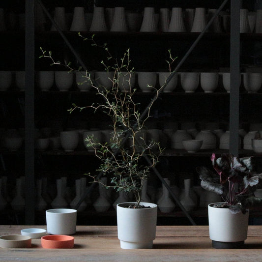 Yamatsu - Ground crunch pot & dish M - Wecreate Japan
