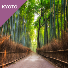 Tours in Kyoto - The Secrets of Arashiyama