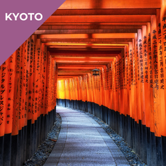Tours in Kyoto - Fushimi Inari and the Serenity of Uji