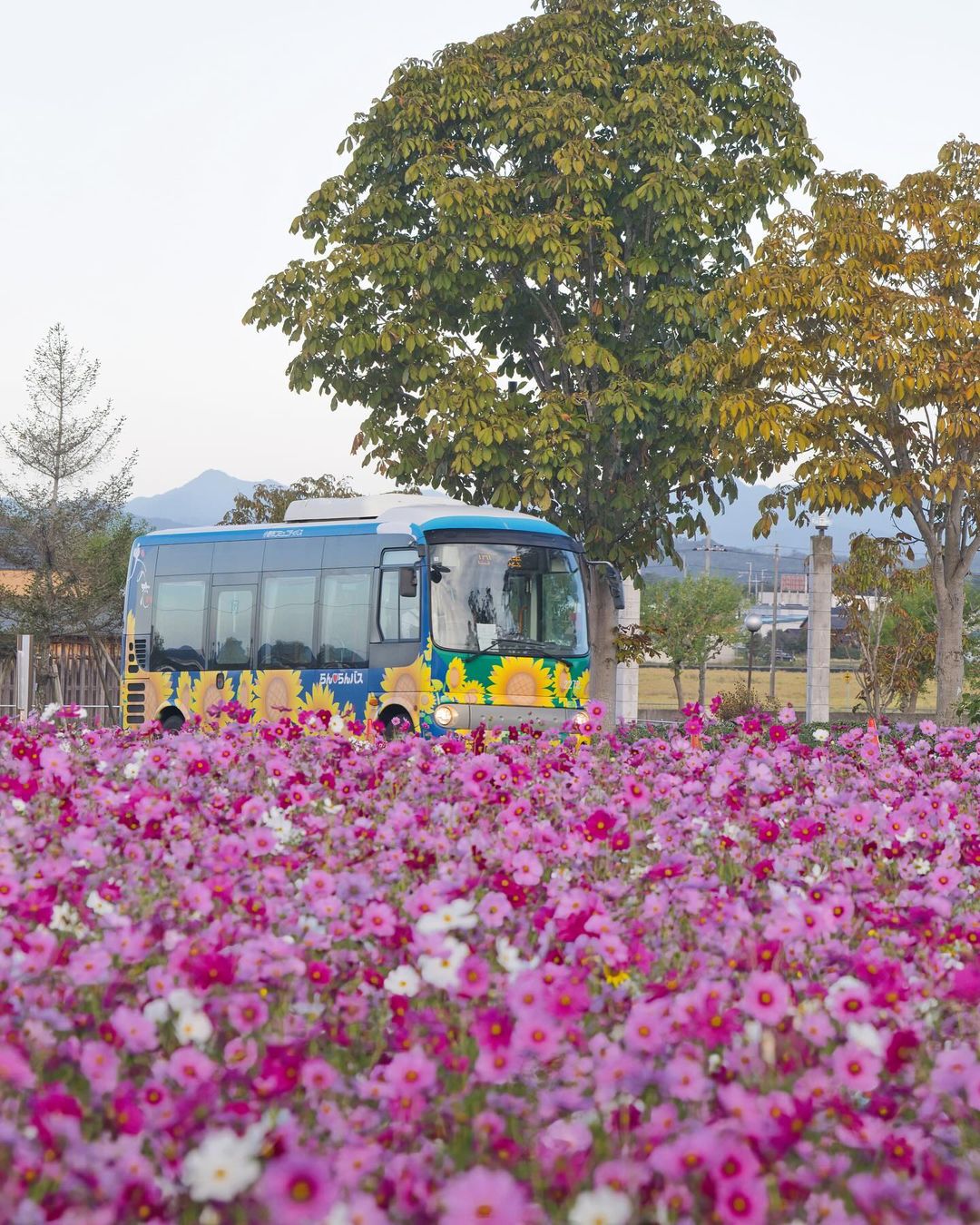 Ono-himawarino-oka-park