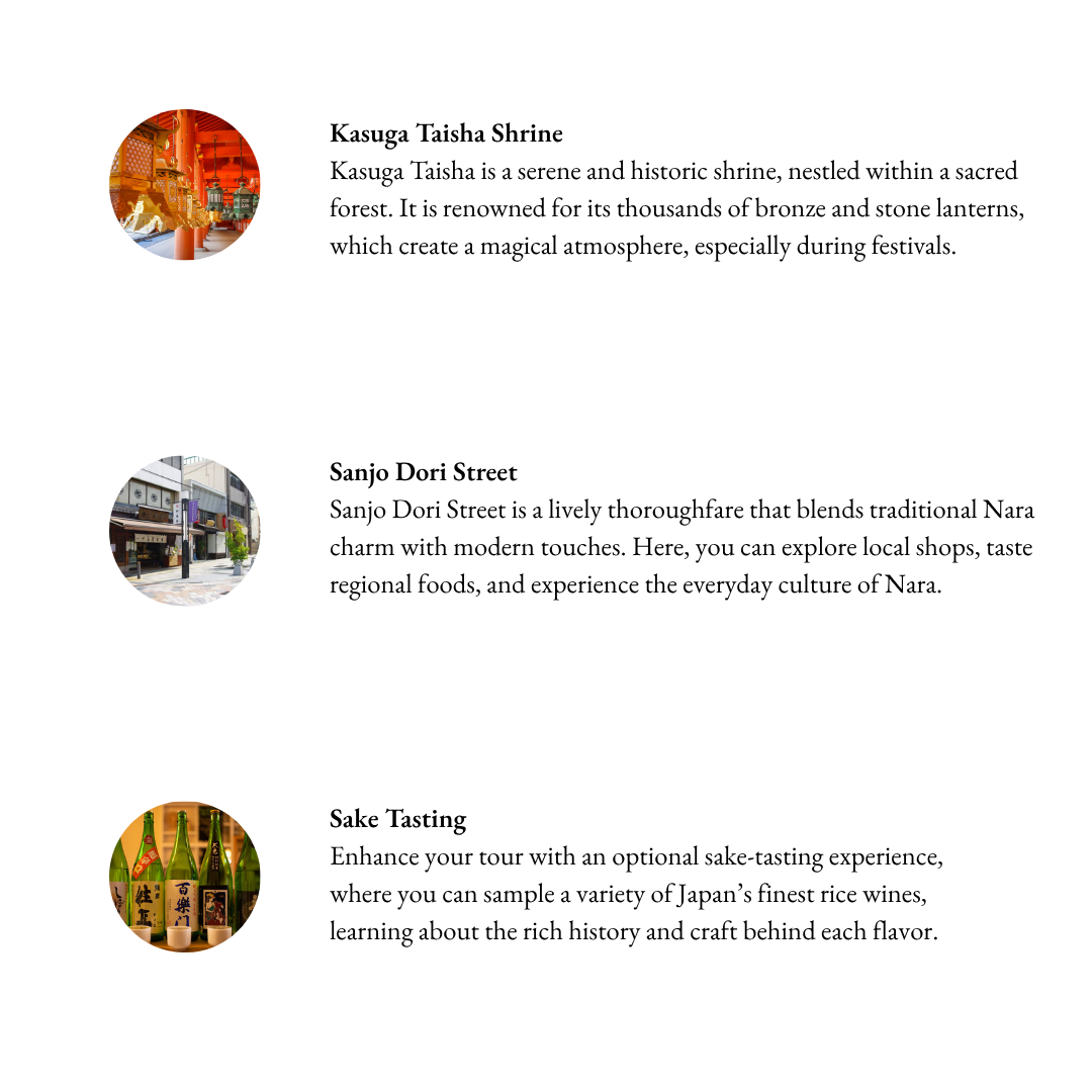 Tours in Nara -  Nara: Shrines, Deer, and Traditions