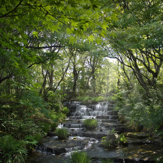 Himeji Japanese garden