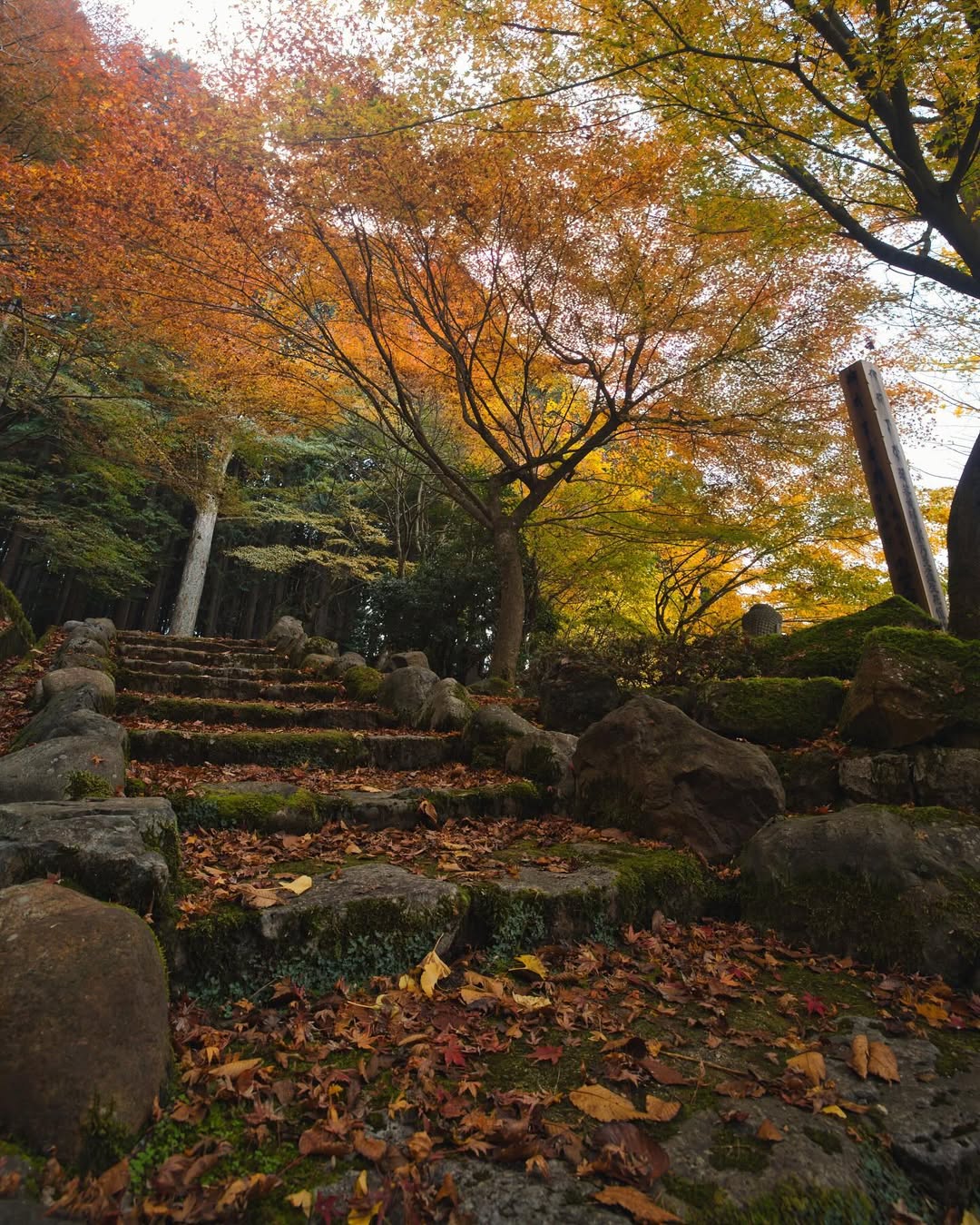 Chogenji Temple