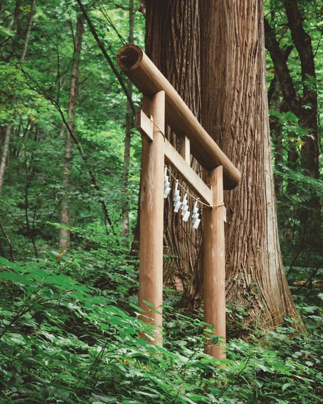 Togakushi Shrine