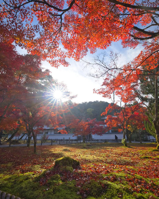 Nanzenji Temple