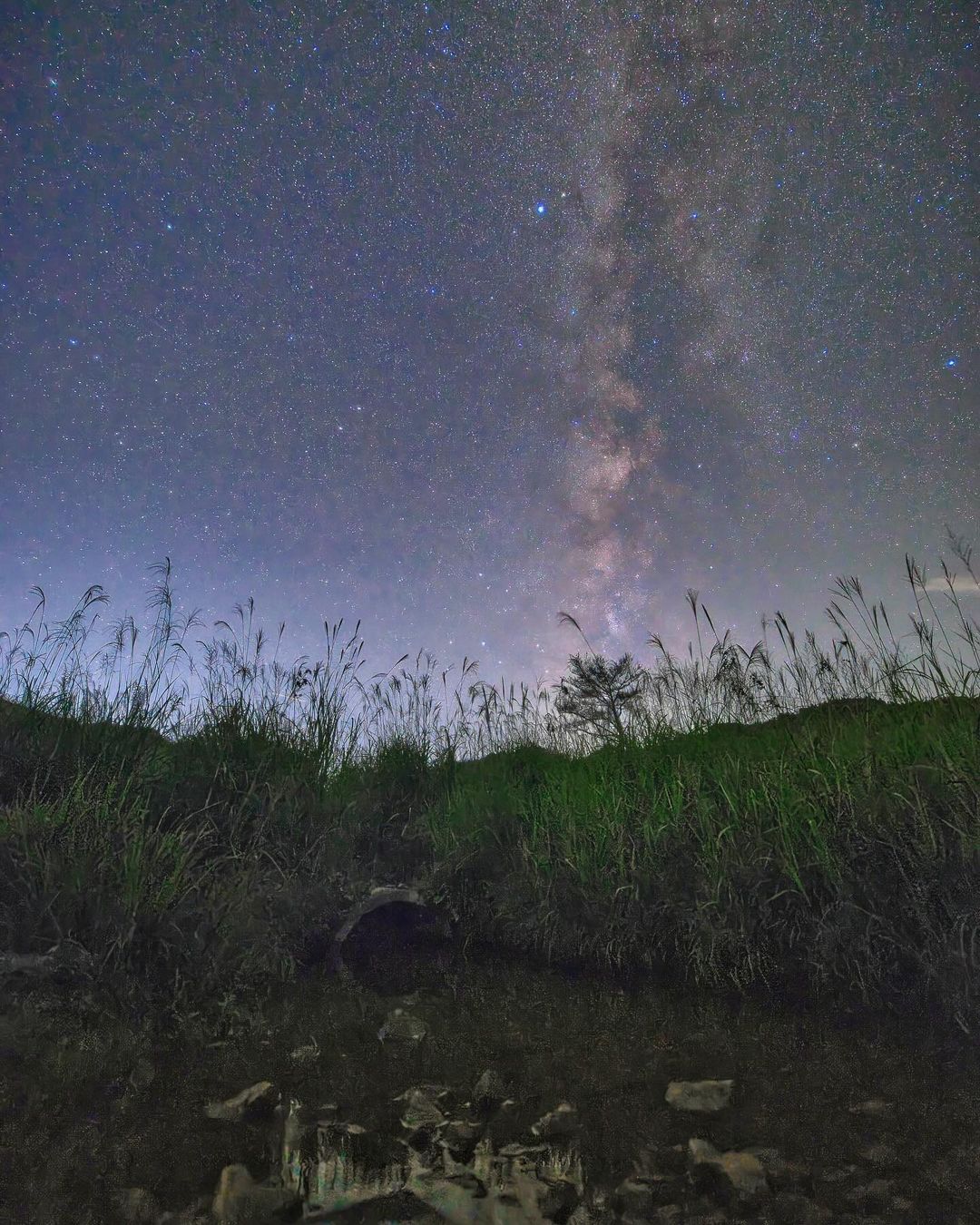 Hyogo Starry sky