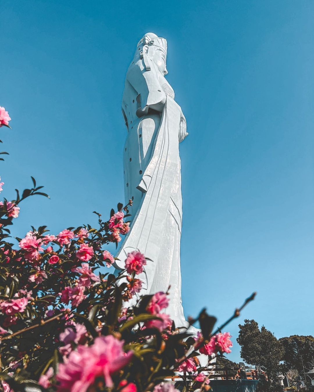 Tokyo wan kannon