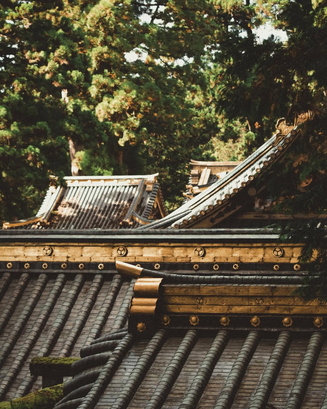 Nikko Toshogu Shrine