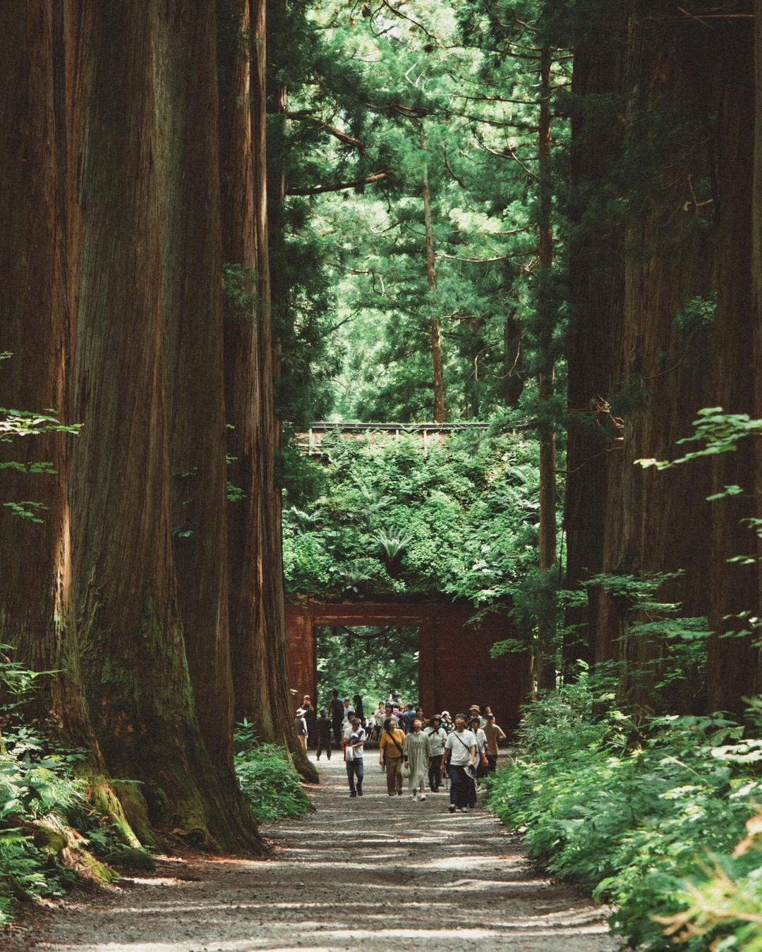 Togakushi Shrine