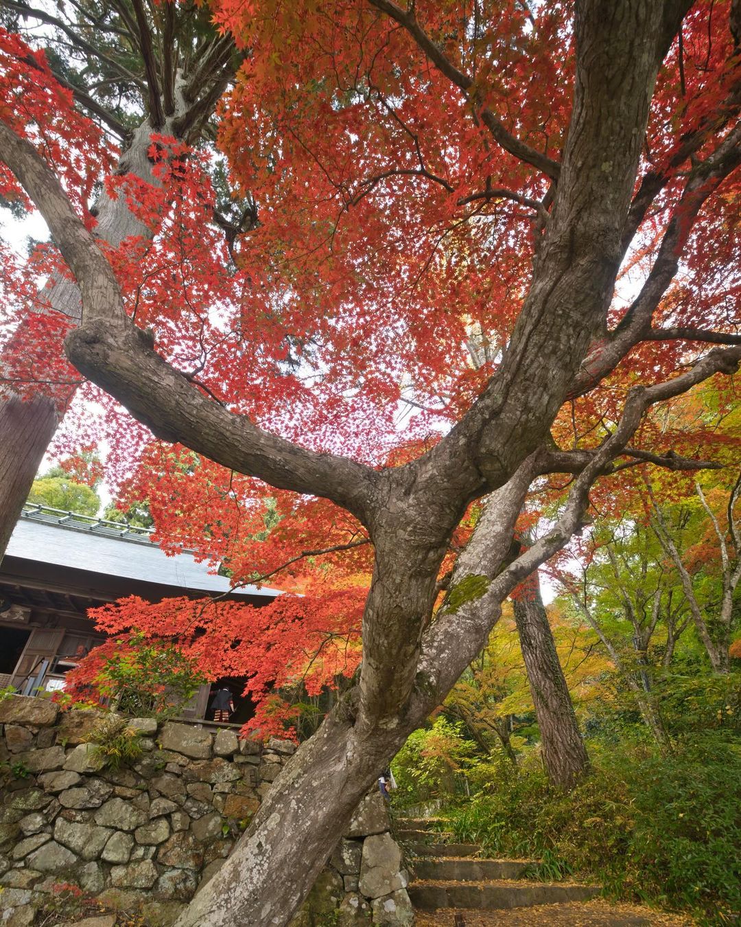 Daikokuji Temple