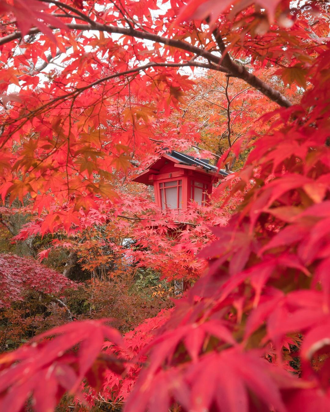 Kuwayama Shrine